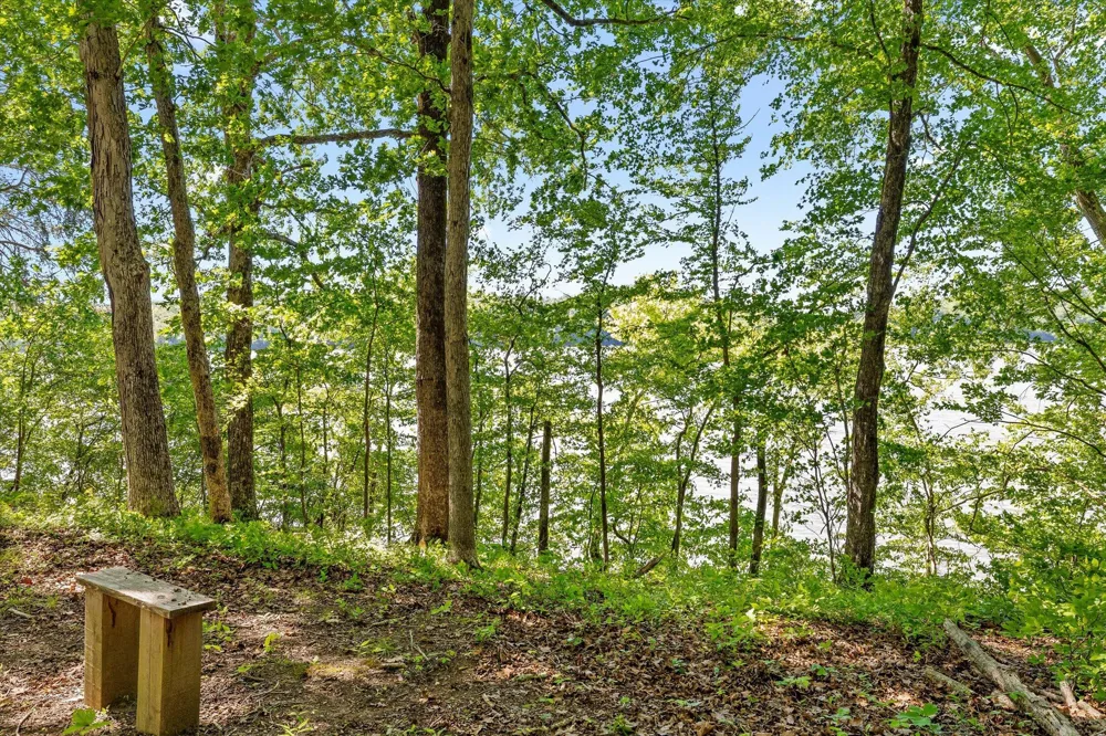15025 May Road Sale Creek, TN 37373