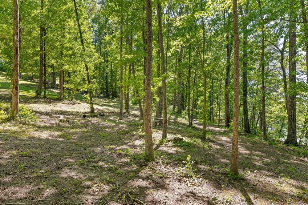 15025 May Road Sale Creek, TN 37373