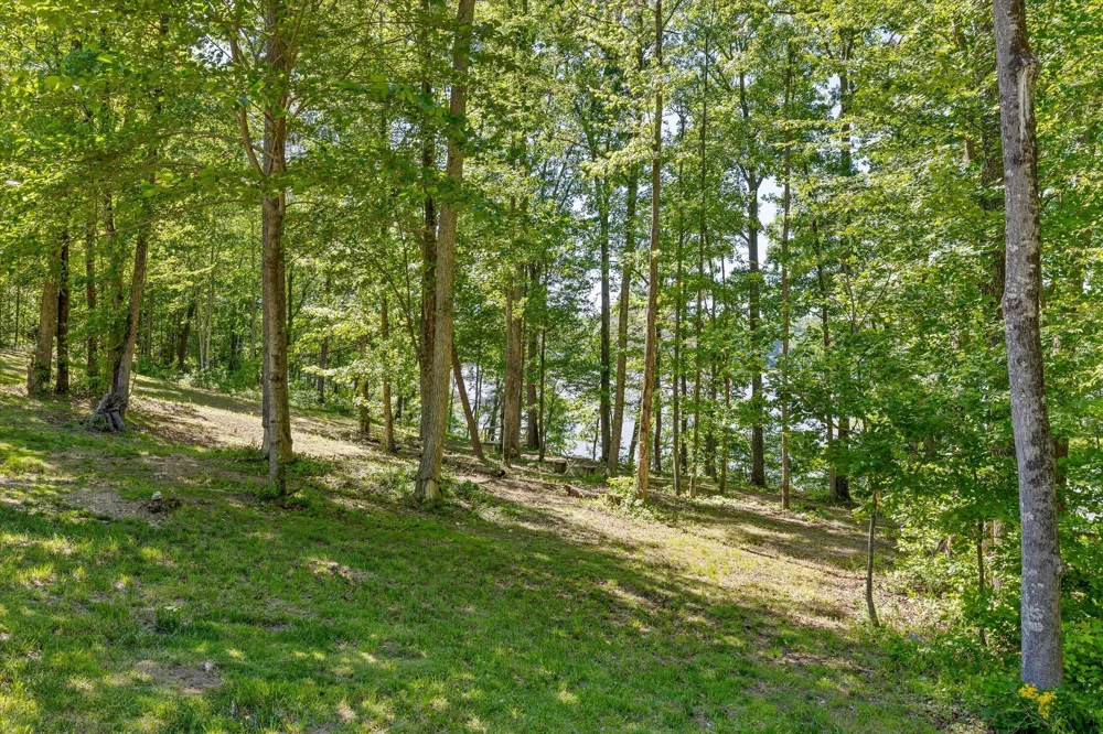 15025 May Road Sale Creek, TN 37373