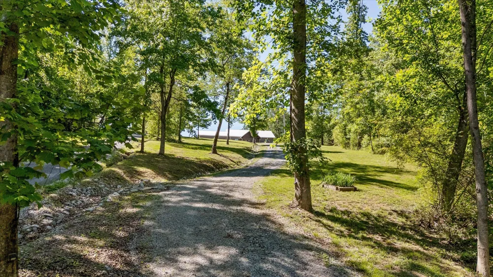 15025 May Road Sale Creek, TN 37373
