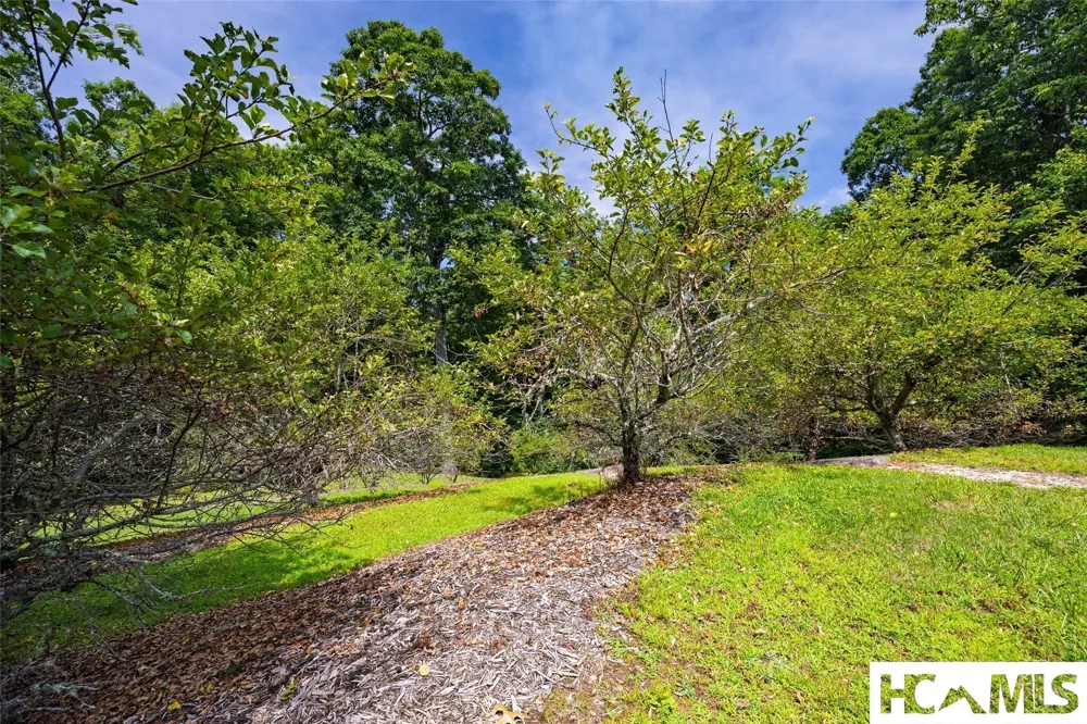 Lot 2 Old Orchard Lane Cashiers, NC 28717