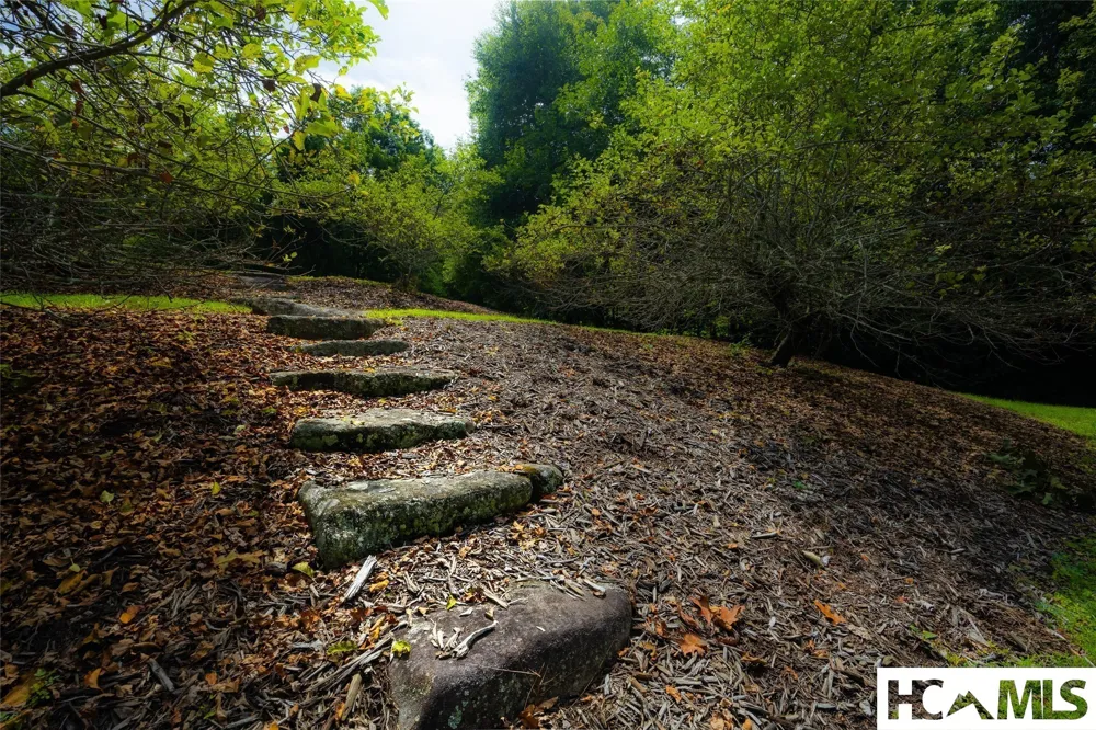 Lot 2 Old Orchard Lane Cashiers, NC 28717
