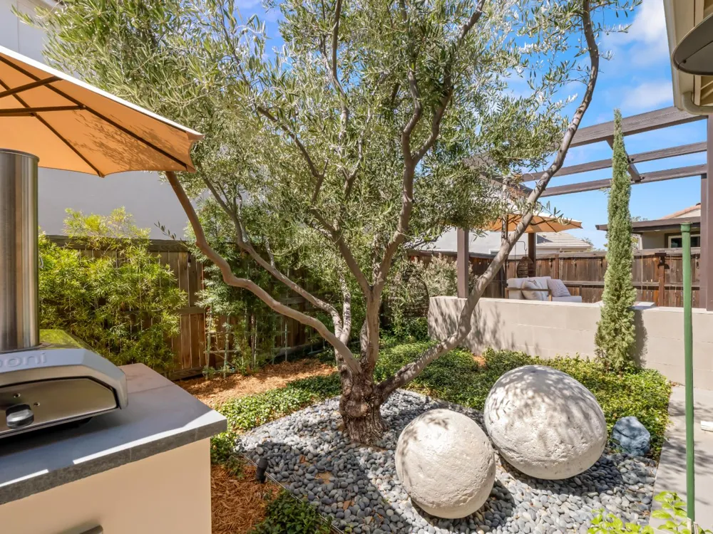 715 Harvest Drive Madera, CA 93636