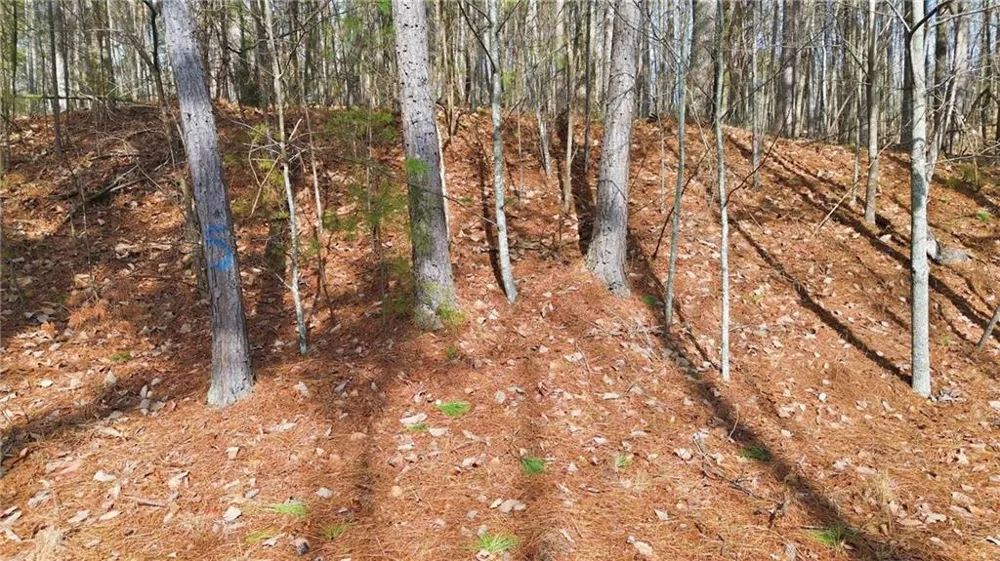 765 Plum Lane Clarkesville, GA 30523
