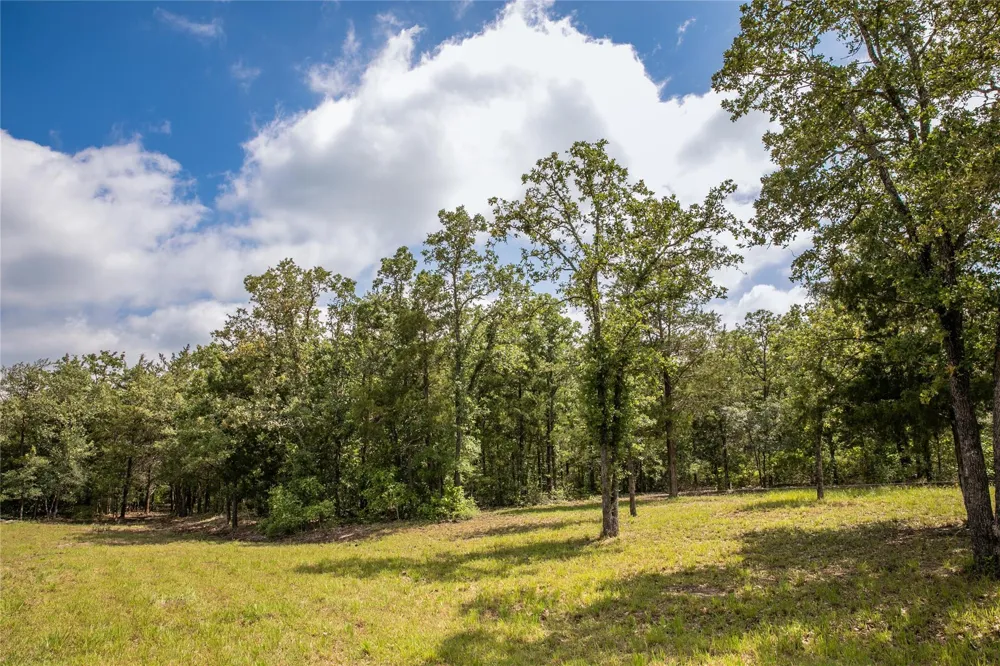 12899 Young Lane Carmine, TX 78932