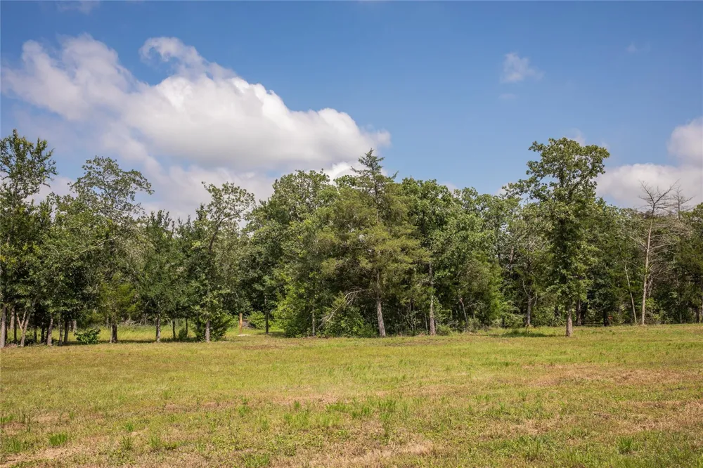 12899 Young Lane Carmine, TX 78932