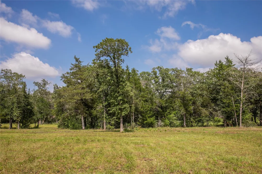 12899 Young Lane Carmine, TX 78932