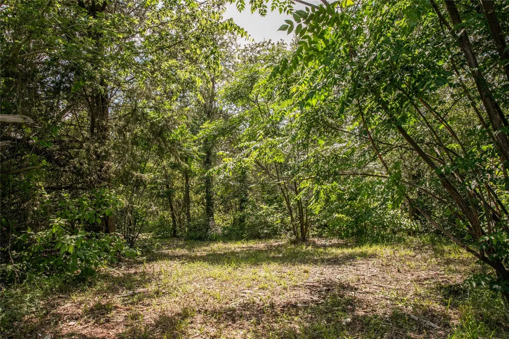 12899 Young Lane Carmine, TX 78932