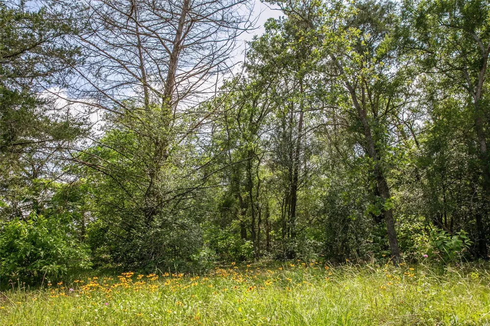 12899 Young Lane Carmine, TX 78932