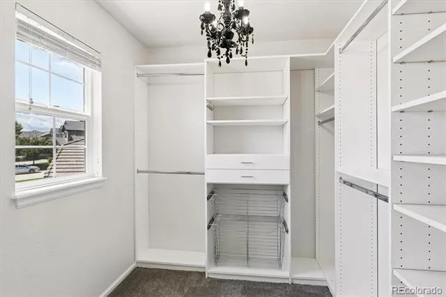 11945 S Black Horn Circle Parker, CO 80134