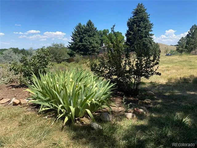 234 S Holman Way Golden, CO 80401