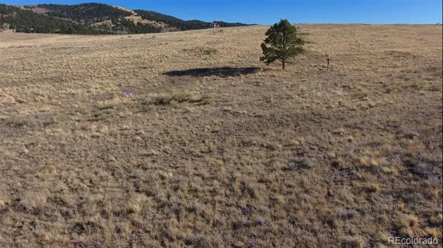 152 Wulsten Way Westcliffe, CO 81252
