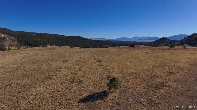 152 Wulsten Way Westcliffe, CO 81252