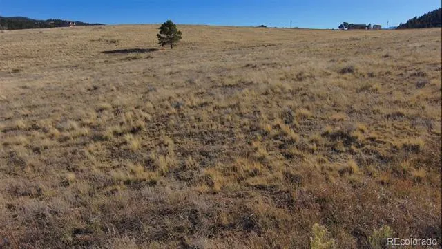 152 Wulsten Way Westcliffe, CO 81252