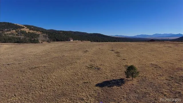 152 Wulsten Way Westcliffe, CO 81252