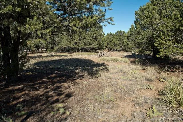 2077 Medicine Bow Overlook Crestone, CO 81131