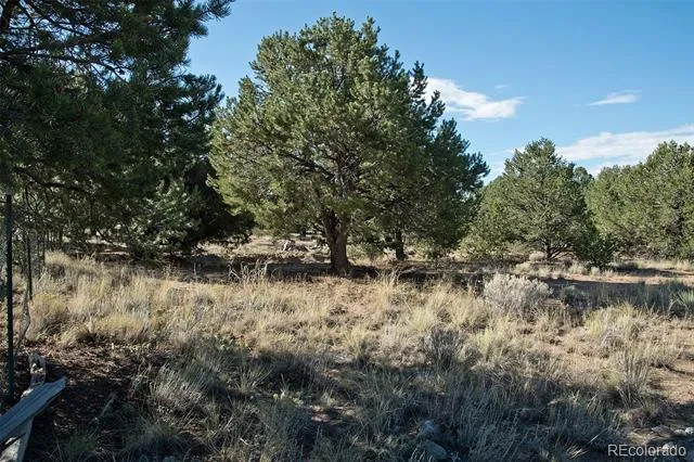 2077 Medicine Bow Overlook Crestone, CO 81131