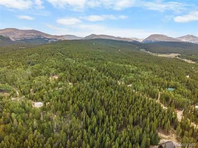 27 Vots Drive Fairplay, CO 80440