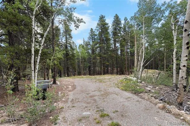 27 Vots Drive Fairplay, CO 80440
