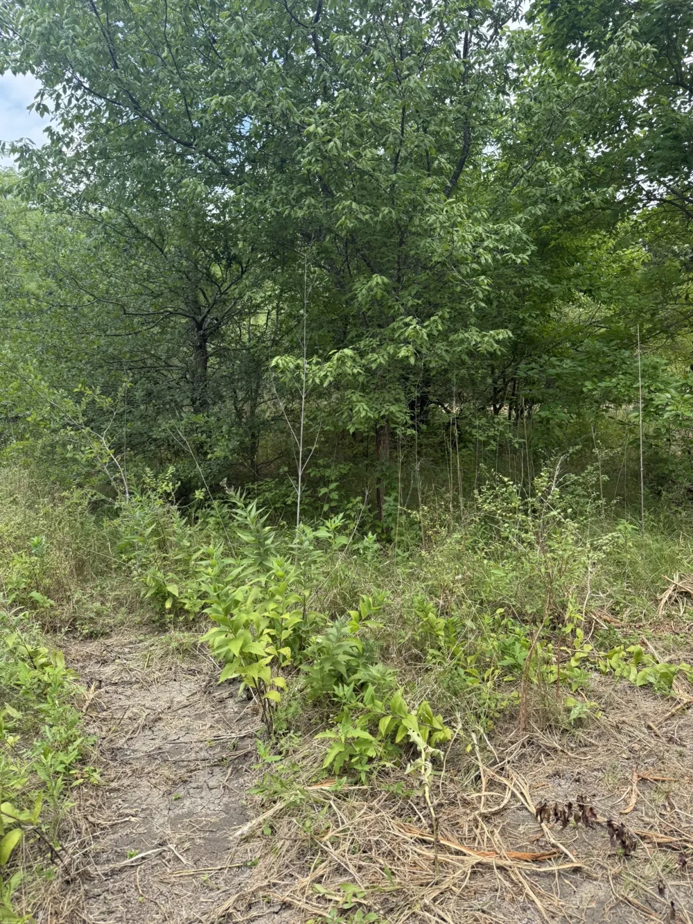 McKnight Ferris, TX 75125