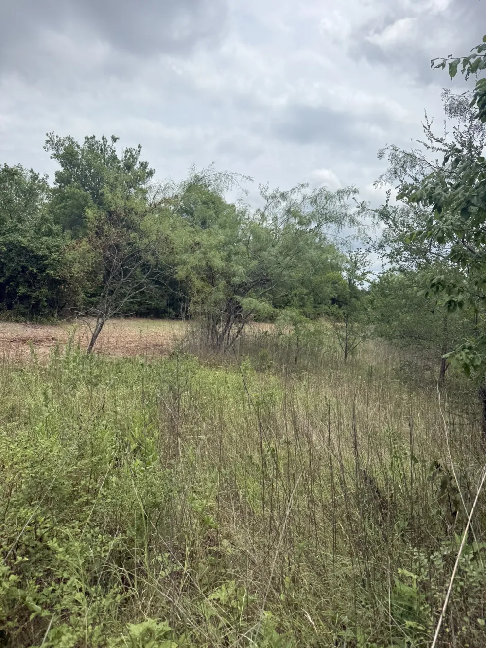 McKnight Ferris, TX 75125