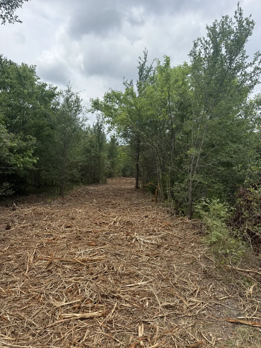 McKnight Ferris, TX 75125