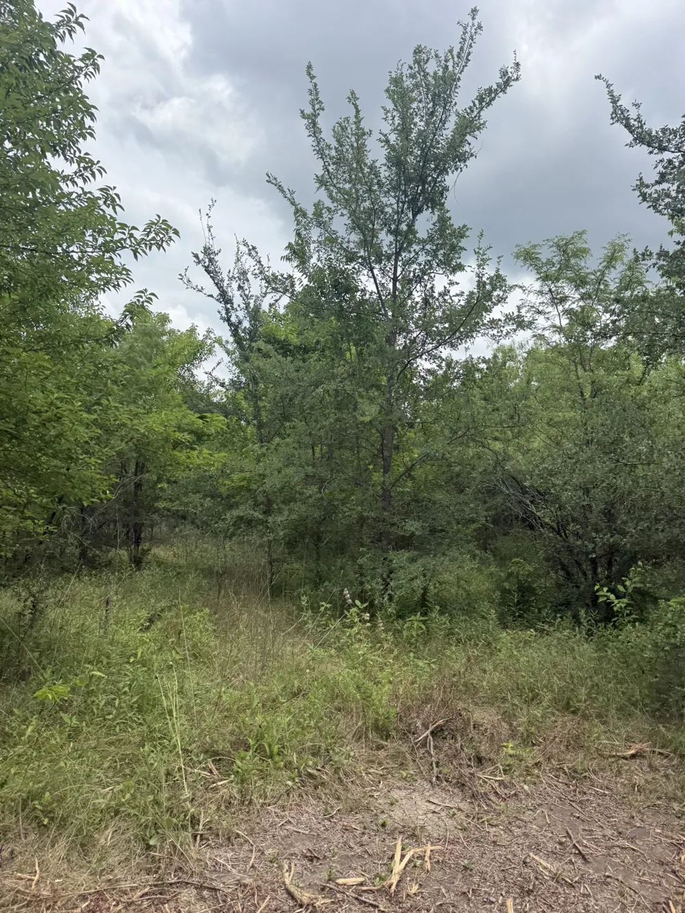McKnight Ferris, TX 75125