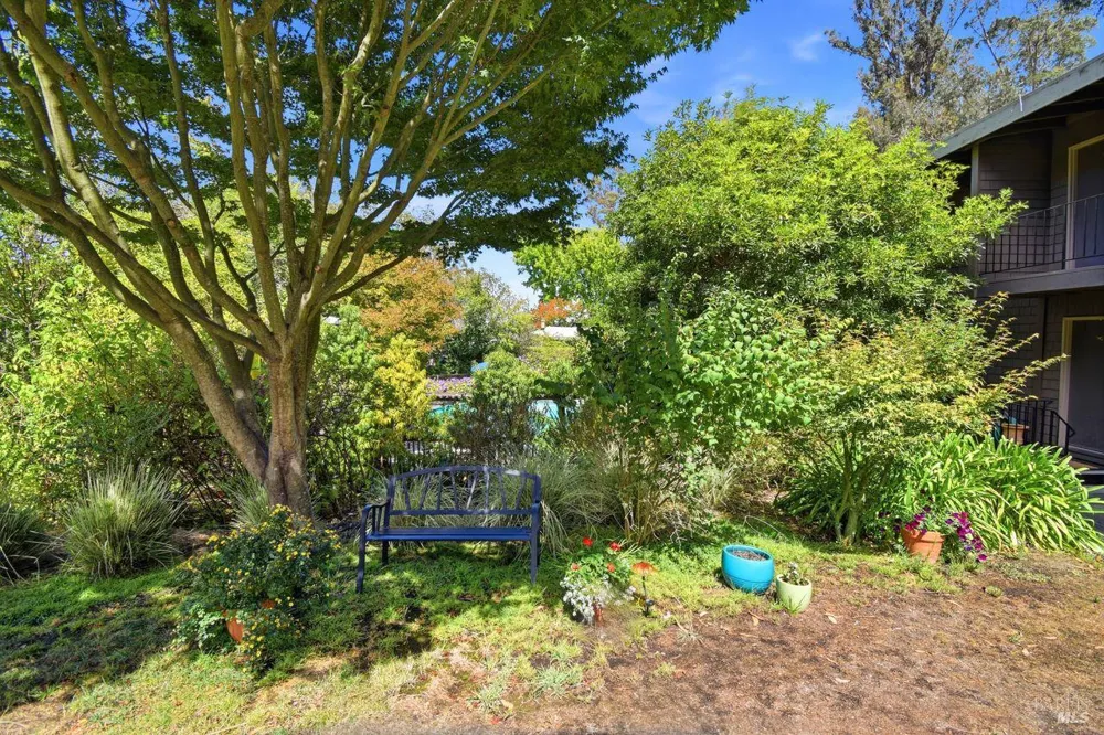 1411 Casa Buena Drive ##36 Corte Madera, CA 94925