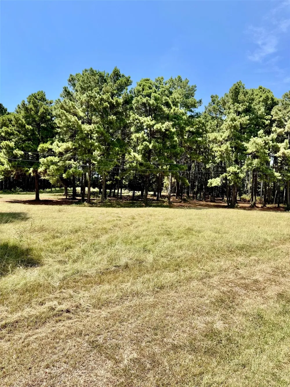 1789 Fm 2076 Crockett, TX 75835