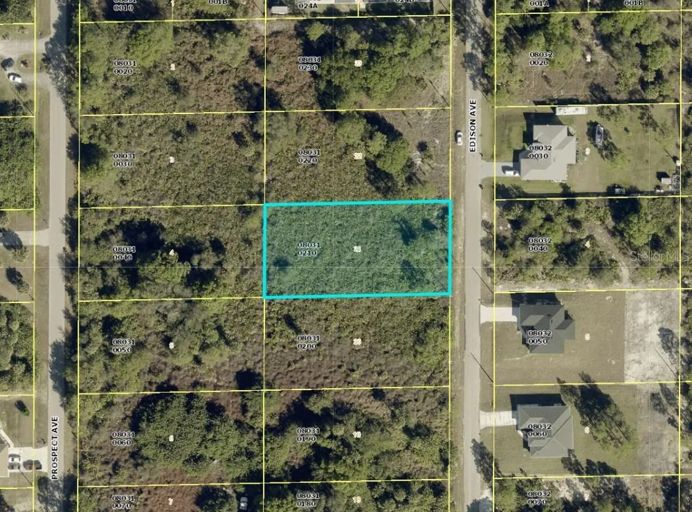 1417 EDISON AVENUE Lehigh Acres, FL 33972
