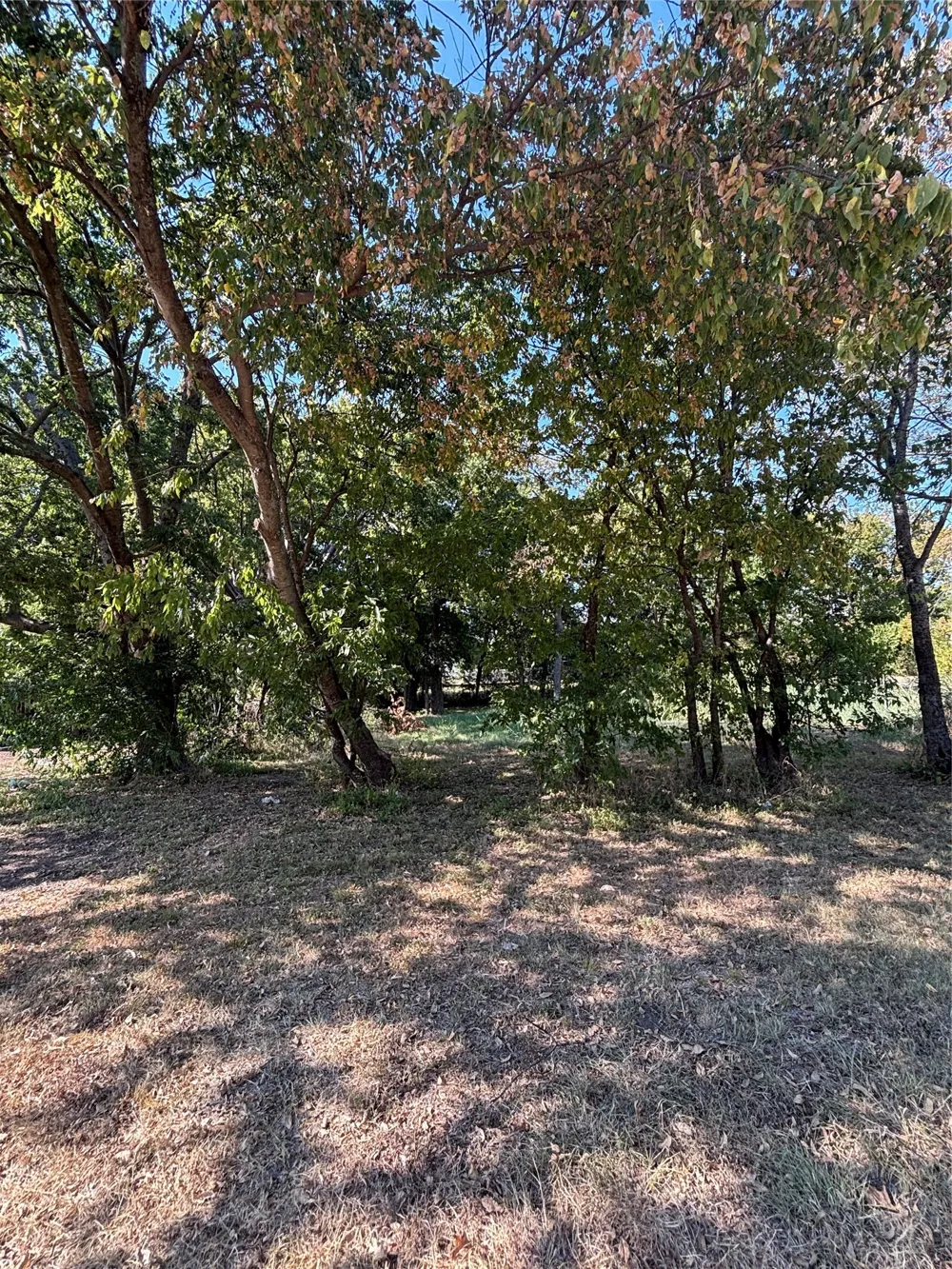 823 Mill Street Gainesville, TX 76240