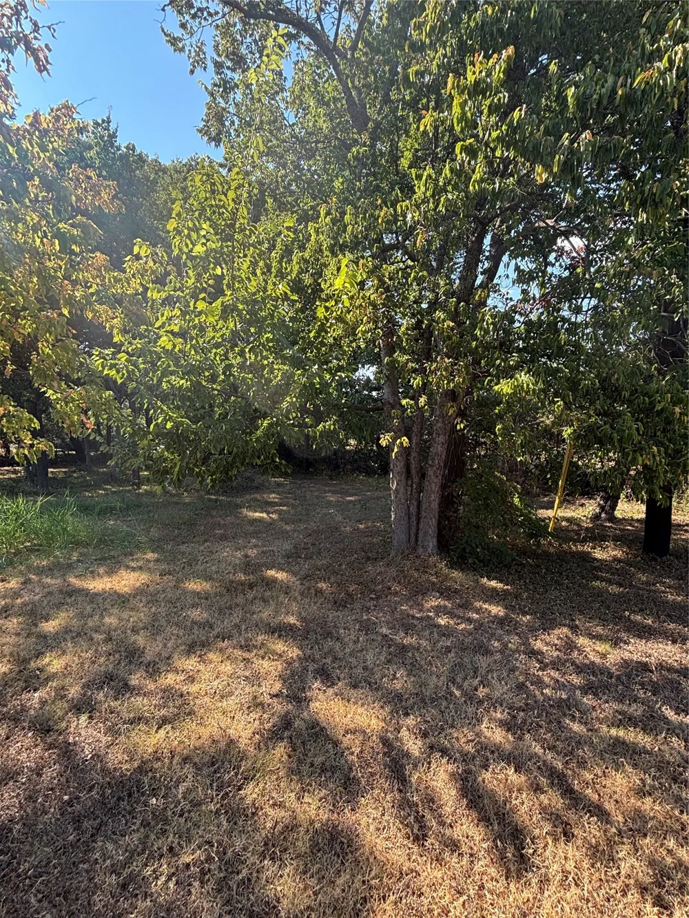 823 Mill Street Gainesville, TX 76240
