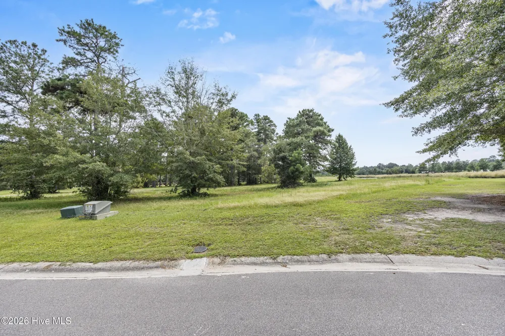 205 Falls Landing Way Wallace, NC 28466