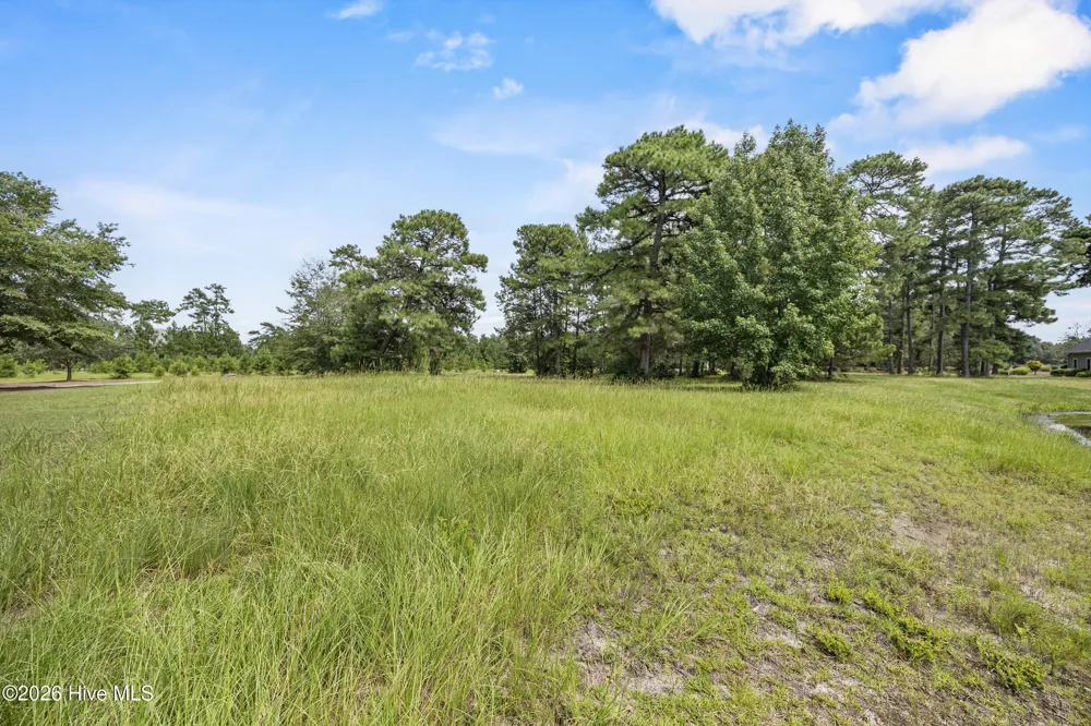 205 Falls Landing Way Wallace, NC 28466