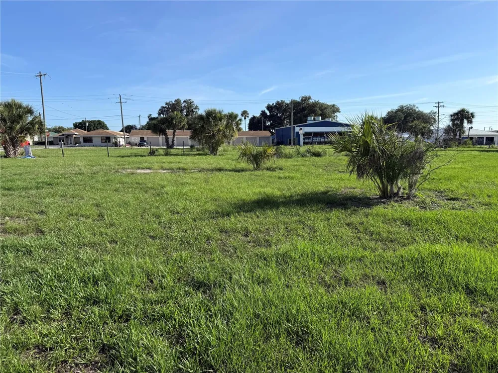 1015 MAKOWSKI ROAD Wauchula, FL 33873