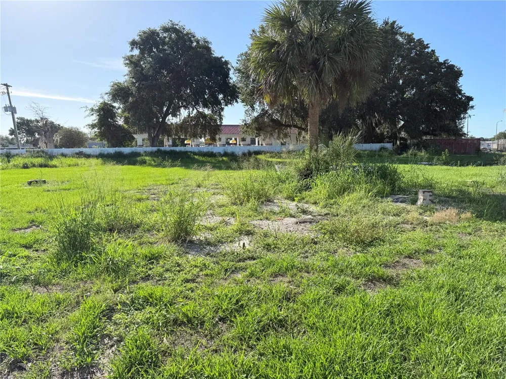1015 MAKOWSKI ROAD Wauchula, FL 33873