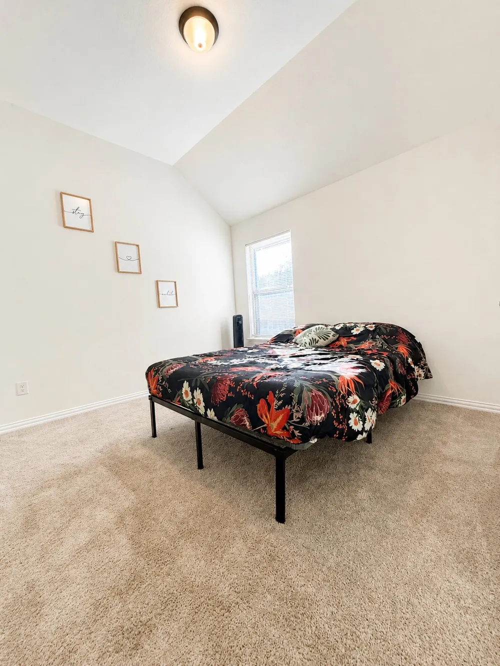 384 Biscayne Bay Bend Kyle, TX 78640