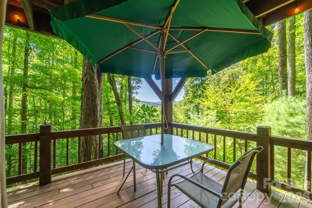 204 Mountain Laurel Drive Bryson City, NC 28713