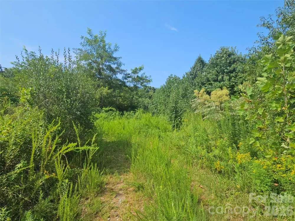 522 Buckeye Access Road Swannanoa, NC 28778