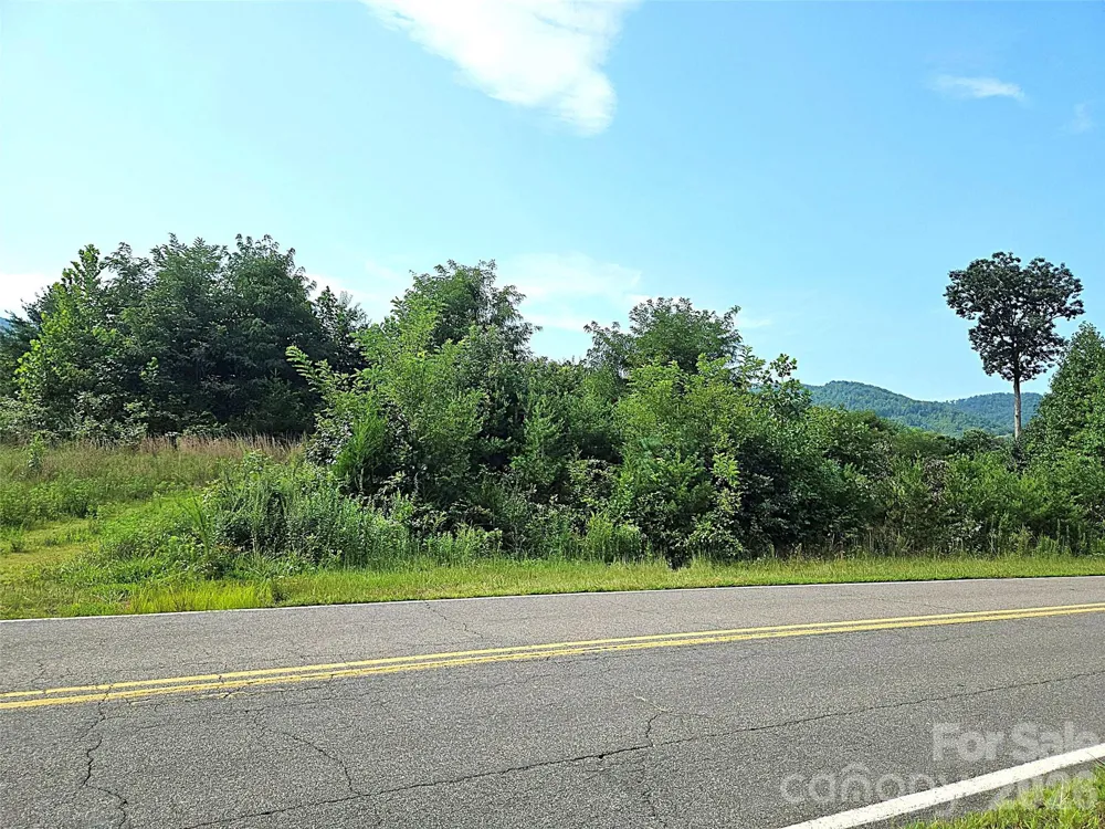 522 Buckeye Access Road Swannanoa, NC 28778