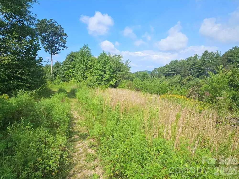522 Buckeye Access Road Swannanoa, NC 28778