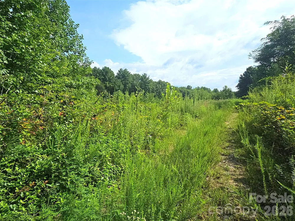 522 Buckeye Access Road Swannanoa, NC 28778