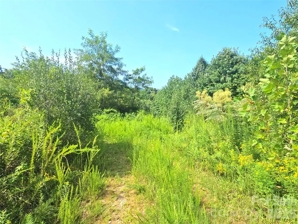 522 Buckeye Access Road Swannanoa, NC 28778
