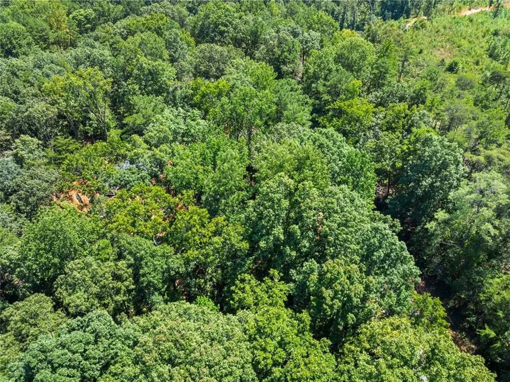 0 Holly Springs Road Toccoa, GA 30577