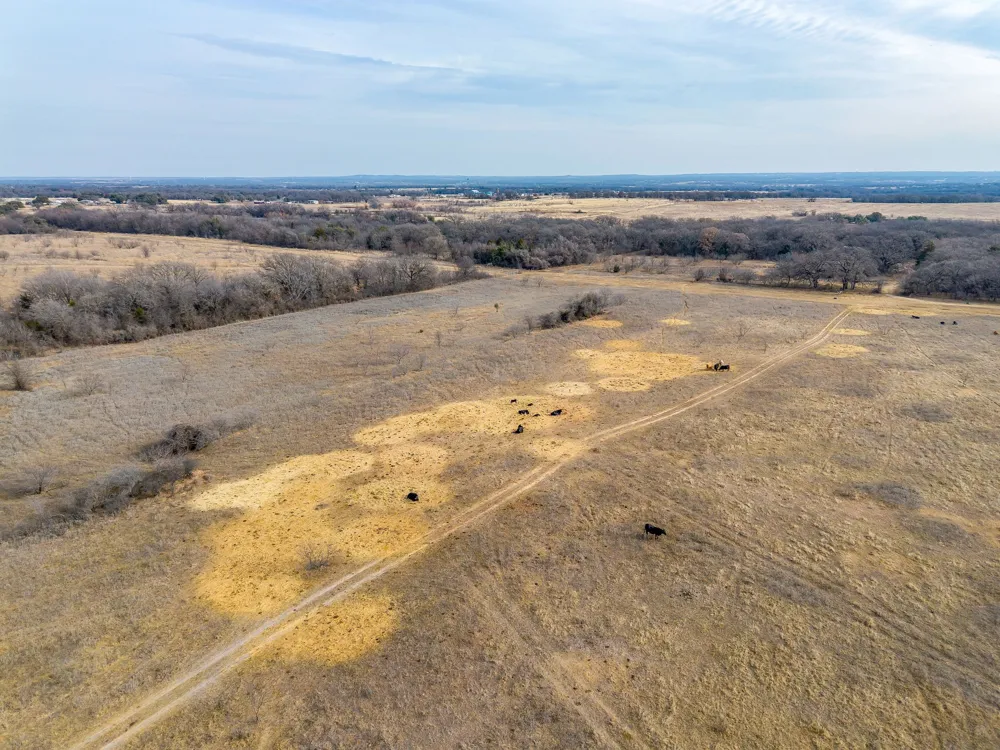 COUNTY RD 1340 Chico, TX 76431