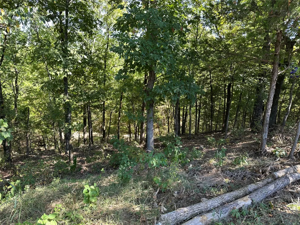 18288 Benson Heavener, OK 74937