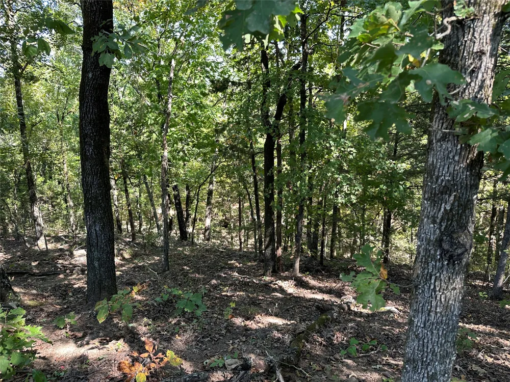 18288 Benson Heavener, OK 74937