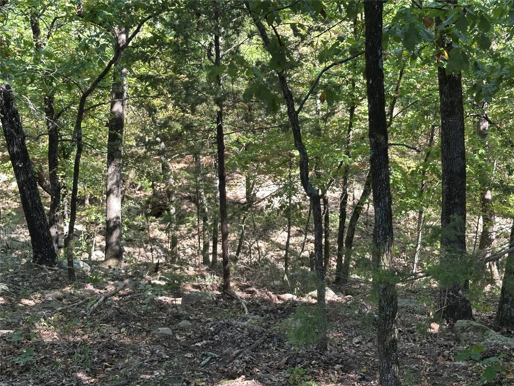 18288 Benson Heavener, OK 74937