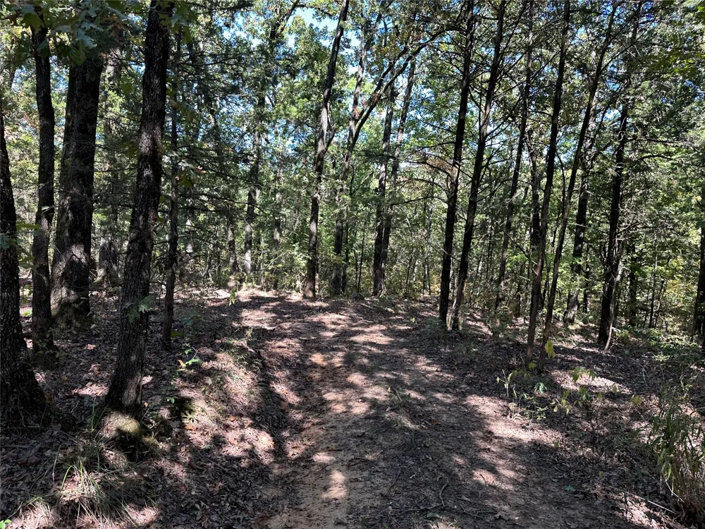 18288 Benson Heavener, OK 74937