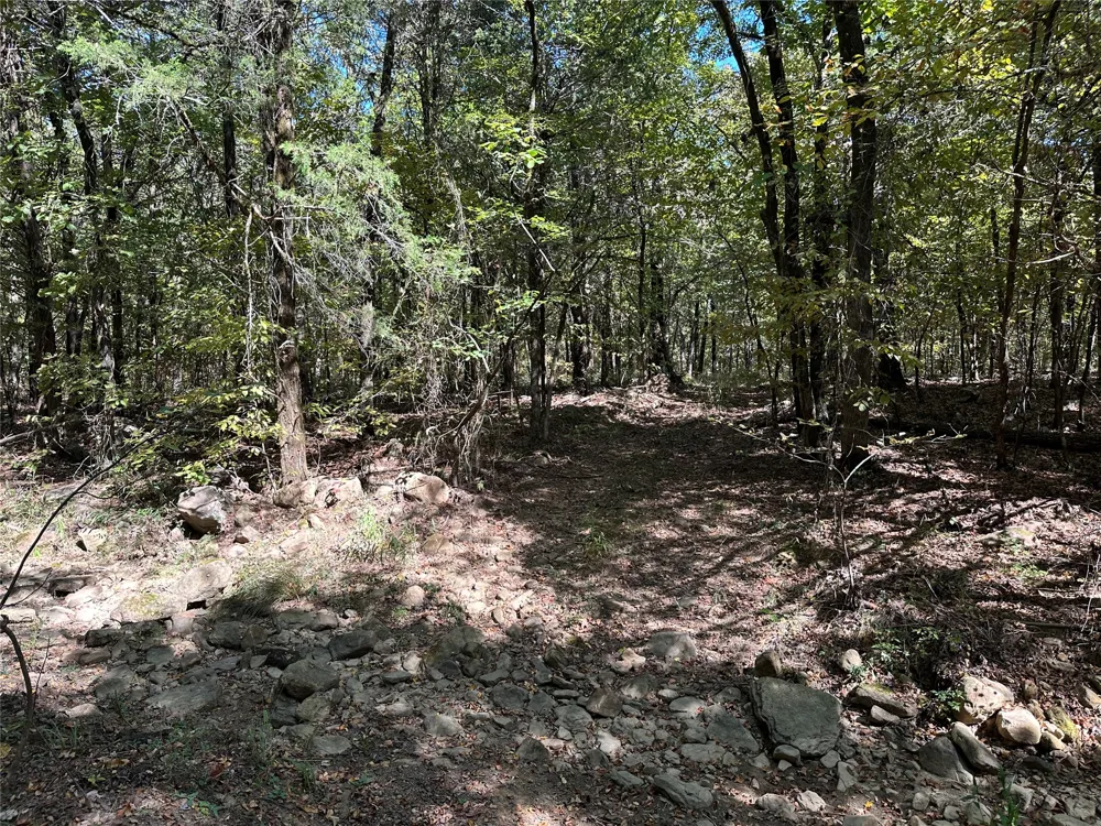18288 Benson Heavener, OK 74937